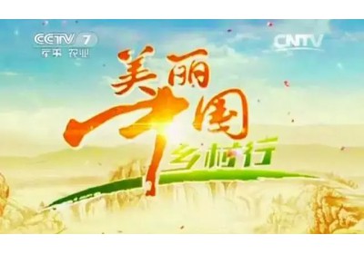 2015年8月10日中央电视台在恒益拍摄《美丽中国乡村行》过程回顾！