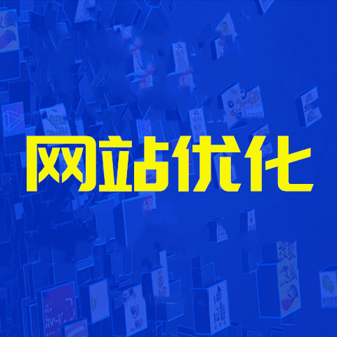 <strong>网站优化</strong>